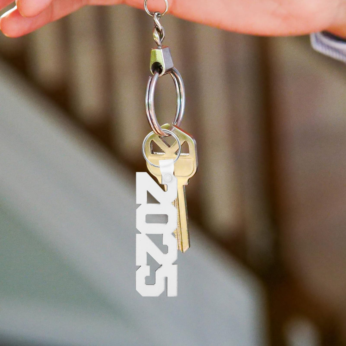 LUOZZY 30 PCS 2025 Sublimation Keychain Blanks for DIY Crafts Heat Transfer Sublimation 2025 Keychain Customized Key Ring for 2025 New Year Graduation LUOZZY