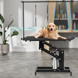 VEVOR Hydraulic Pet Grooming Table, 400LBS Static Load Capacity, 42.5 x 24 Inch Dog Grooming Station with Anti-Slip Tabletop and Dual Height Adjustable Arms with Clamps, for Medium and Small Dogs VEVOR
