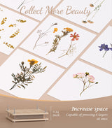 Wakhow Flower Press Kit – 11" x 11" Large Wooden Flower Presser for Adults & Teens | DIY Bouquet Preservation & Dried Flower Art | Ideal Gift for Nature & Craft Lovers Wakhow