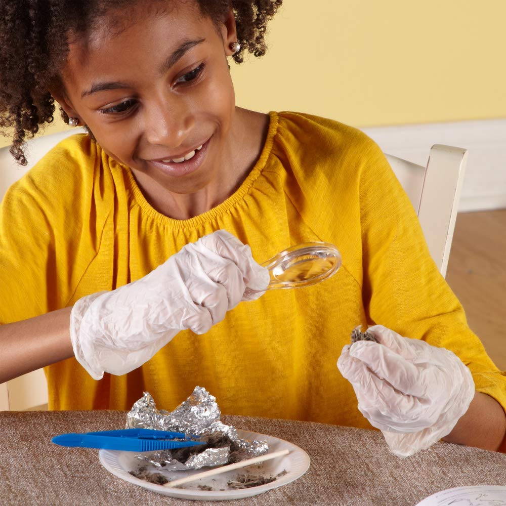 hand2mind Animal Science Kit for Kids 8-12, Kids Science Kit with Fact-Filled Guide, Learn About Animal Biology and Dissect Owl Pellets, STEM Toys, 10 Science Experiments hand2mind