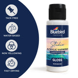 Bluebird Studio Gloss Varnish for Acrylic Painting, 3.4 Fl Oz, Non-Yellowing, Non-Toxic, Anti-Crazing, Basic Varnish for Pro Artists, Hobby Painters & Kids BLUEBIRD