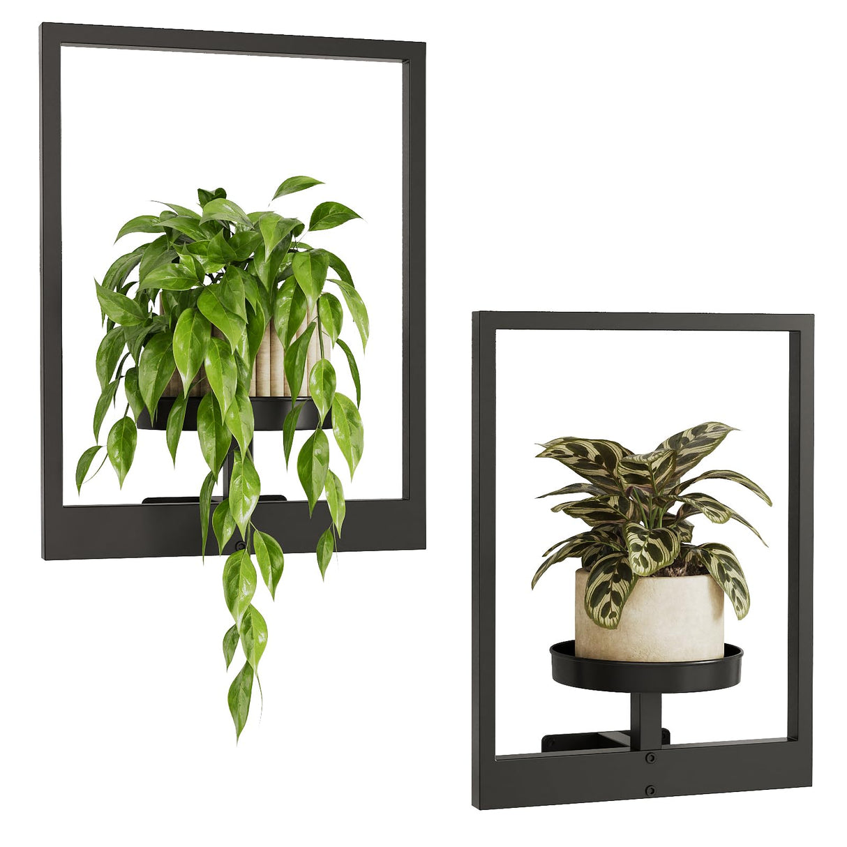 Bamworld Wall Planters for Indoor Plants Metal Wall Plant Holder Plant Hanger Wall Decor Wall-Mounted Wall Hanging Planters Outdoor Plant Rack Black 2 Pack (Patent Design) Bamworld