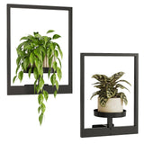 Bamworld Wall Planters for Indoor Plants Metal Wall Plant Holder Plant Hanger Wall Decor Wall-Mounted Wall Hanging Planters Outdoor Plant Rack Black 2 Pack (Patent Design) Bamworld