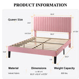 SHA CERLIN Queen Upholstered Platform Bed Frame with Adjustable Headboard/Vertical Channel Tufted Velvet Fabric/Wooden Slats Support/Mattress Foundation/Box Spring Optional/Pink SHA CERLIN