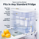 Invigorated Alkaline Water Machine - Countertop Filter Dispenser for Home/Office - 300 Gallon Capacity - 3 pH001 Filters - 3.3 gal Invigorated Water