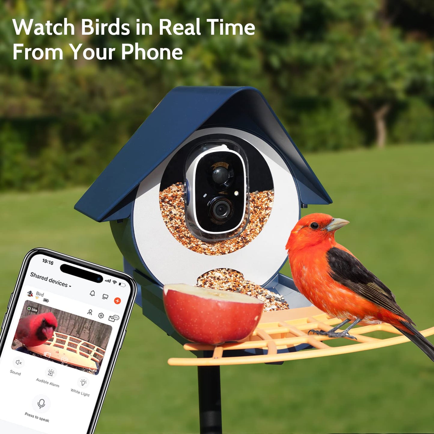 Birdkiss Smart Bird Feeder with Camera, AI Identify Bird Feeder Camera with Solar Pannel, Auto Capture Bird Full HD Videos & Instant Notification, - WoodArtSupply