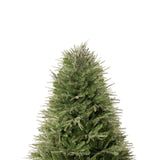 Camden 7.5ft Prelit Artificial Christmas Tree with Foot Pedal, 2755 Branch Tips, 600 Warm Lights and Metal Stand, 58" Wide Realistic Hinged Christmas Tree with Lights by Naomi Home Naomi Home