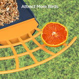Birdkiss Smart Solar Feeder Camera: AI Identify WiFi Camera with Auto Bird Video Capture & Instant Notifications, Ideal Bird Lover Gift Birdkiss