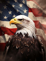 SKRYUIE 5D Eagle Diamond Painting Kits - DIY Diamond Art Kits for Adults American Flag, Full Round Drill - Crystal Cross Stitch - Adults Craft for Wall & Office Decor - 12x16 inch SKRYUIE