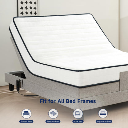 Z-hom Queen Mattress 8 Inch, Queen Size Mattresses Hybrid Innerspring Mattress in a Box, Queen Foam Spring Mattress with Motion Isolation & Pressure Relief for Queen Bed Frames, Medium Soft, White