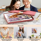 SJUTOUCI Horse Diamond Painting Kits for Adults, Diamond Art Kits for Beginners, 5D DIY Diamond Dot Art, Full Drill Gem Craft for Home Decor 12x12 inch SJUTOUCI