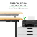 Rise Up Dual Motor Electric Standing Desk Adjustable Height Desk 60x30 Large Computer Standing Desk, Sit Stand Up Desk Raising Desk, Home Office Desk Uncaged Ergonomics