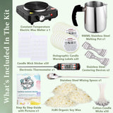 Soy Wax Candle Making Kit Supplies with Wax Melter, Natural Candle Wax for Candle Making - DIY Candle Making Supplies, Including 3lbs Soy Wax Flakes, Melting Pot, Electric Stove, Candle Wick FAIRYELF