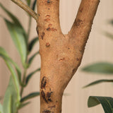 Kazeila Artificial Olive Tree 6FT Tall Faux Silk Plant for Home Office Decor Indoor Fake Potted Tree with Wood Branches and Fruits Kazeila