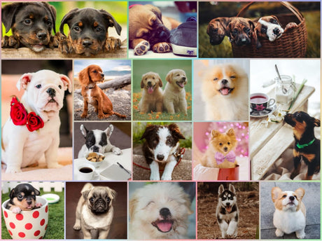 Better Me Puppy Puzzle 1000 Pieces - Puppy Pals 1000 Piece Puzzle, Like 17 Mini Jigsaw Puzzles in One. Cute Puppies Galore, Running, Playing, Smiling, Naughty Stealing Treats etc. Better Me