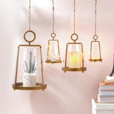 9" Wide Modern Metal Hurricane Lantern with Handmade Sturdy Glass Sleeve in Brass for Pillar Candle & Plants, Farmhouse HurricaneIndustrial, Minimalistic, Shabby Chic (1, Brass, 9"x14") twakutwaku