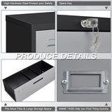 Yizosh 2 Drawer File Cabinet with Lock, Filing Cabinet for Home Office, Metal Locking Office File Storage Cabinet with Drawers, Lateral Filing Cabinet Organizer for Letter/Legal/F4/A4 Yizosh