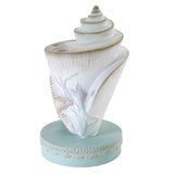 Avanti Linens - Toothbrush Holder, Countertop Essentials, Farmhouse Chic Bathroom Decor (Farmhouse Shell Collection) Avanti Linens