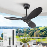 36 Inch Black Ceiling Fan, 6 Speeds, Reversible Silent DC Motor, 3 ABS Blades, Modern No Light Design, Remote Control for Indoor Outdoor Farmhouse Bedroom Patio Kids Room KBZZ