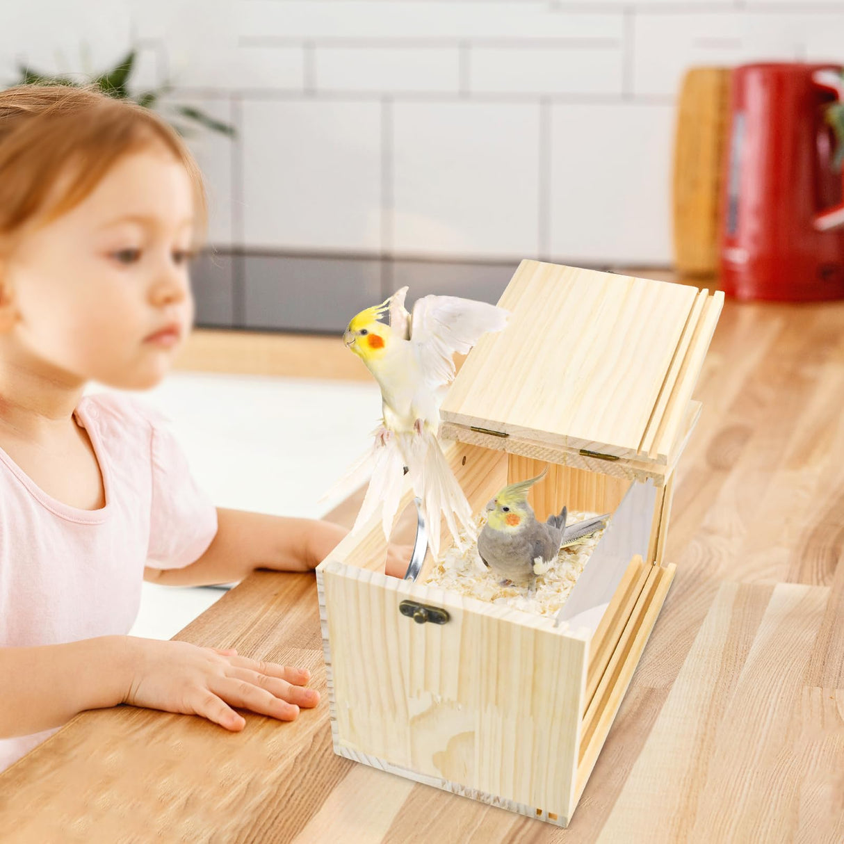 ShuRung Parrot Nesting Box Cockatiel Nesting Box Bird Breeding Box House Handcrafted Wooden Acrylic Transparent Bird Box with Detachable Wooden Board for Parakeets Cockatiel Budgie Conure Parrot XL ShuRung