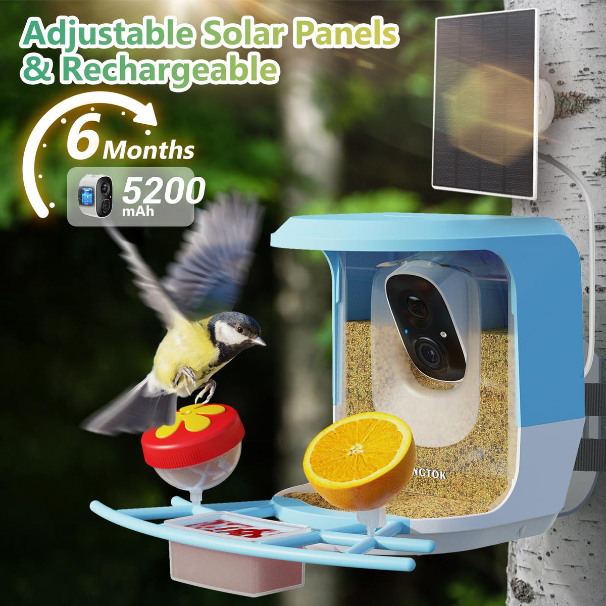 Vingtok Smart Bird Feeder with Camera, Outdoor Bird Watching Camera House with Solar Powered, Full HD AI Identify Camera DIY Wild Birdfy Feeder, Auto Capture Video & Real Time Views for Bird Lovers Vingtok