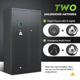 KAER 15-18 Gun Safe,Gun Safes for Rifles and Pistols,Rifle Safe,Gun Cabinet,Gun Safes for Home,Gun Safe for Rifles with Digital Keypad,Drawer,Removable Shelf (Unassembled) KAER