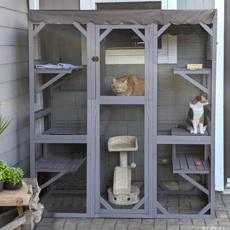 Catio Outdoor Cat Encolsure 71" Large Cat House Window Catio Walk in Kitty Shlter with Resting Box,Upgrade Waterproof Cover GUTINNEEN