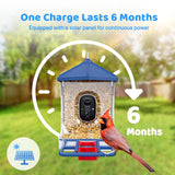Solareye Bird Feeder with Camera, 2K HD Color Night View, AI Bird Identification, Auto Capture,Motion Detection Alerts, Smart Bird Feeder for Outdoors, Present for Bird Lover(Solar Panel Included) Solareye