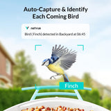 NETVUE Birdfy® AI Smart Bird Feeder with Camera Solar Powered, Lifetime AI Auto Capture Each Bird Come & Identify 6000+ Bird Species, Cloud Store Bird Videos & Birdwatching On Live, Ideal Gift (Blue) NETVUE