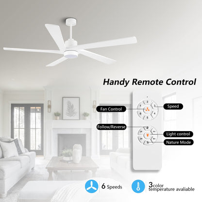 WINGBO 64" DC Ceiling Fan with Lights and Remote Control, 5 Carved Wood Blades, 6-Speed Reversible DC Motor, Modern Ceiling Fan for Bedroom Living Room Kitchen, ETL Listed