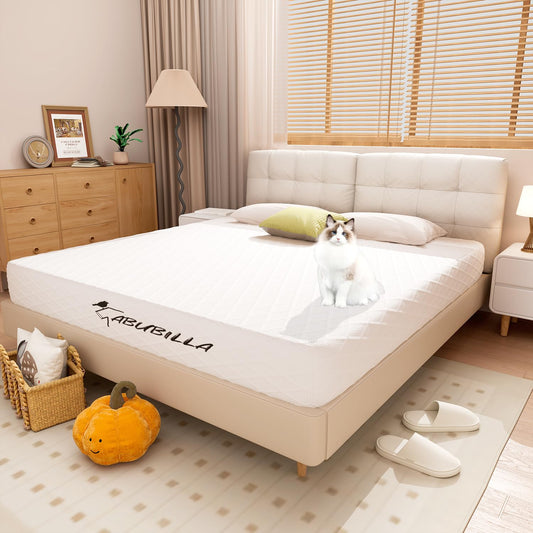 LIYIH Queen Size Mattress, 8 Inch Queen Mattress, Guest Room Mattress, Memory Foam Mattress, Comfortable and Receive Restful Sleep, CertiPUR Certification 【2024 New Version】