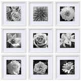 eletecpro 12x12 Picture Frames Set of 9, Classic Gallery Wall Frame Set Displays 8x8 Photo with Mat or 12x12 No Mat, Square Picture Frames Collage Wall Decor, White Home Decor for Hanging eletecpro