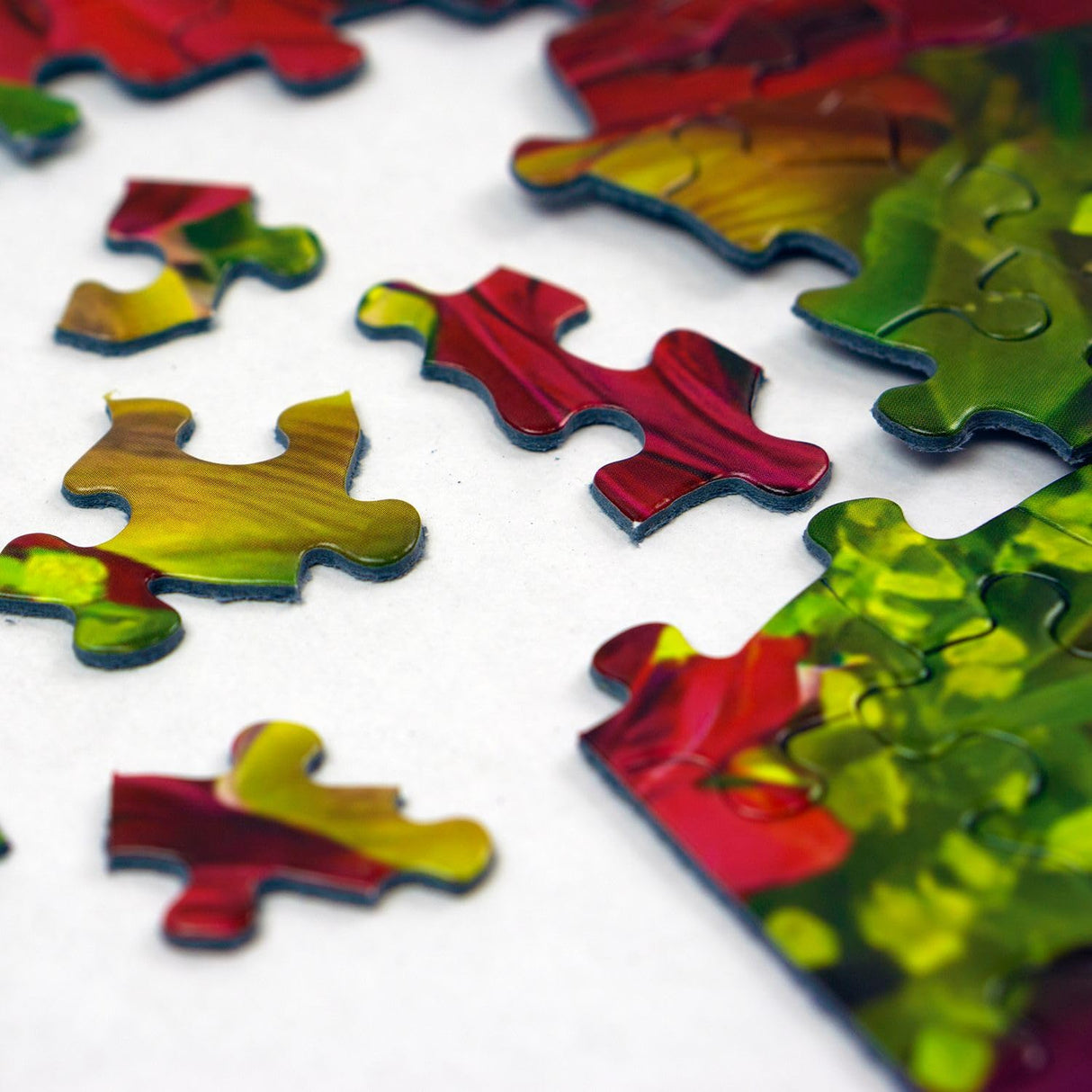 Springbok Spring Fever 500 Piece Jigsaw Puzzle for Adults - Colorful Butterfly and Flowers - Relaxing Puzzle with Unique Precision Fit Pieces - Finished Size 20" x 20" Springbok