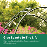 SCENDOR Wedding Arch Garden Arbor Curved Metal Enduring Iron Garden Arch Trellis for Climbing Plants Outdoor Ceremony 95.3 in x 45 in x 14 in SCENDOR GARDEN