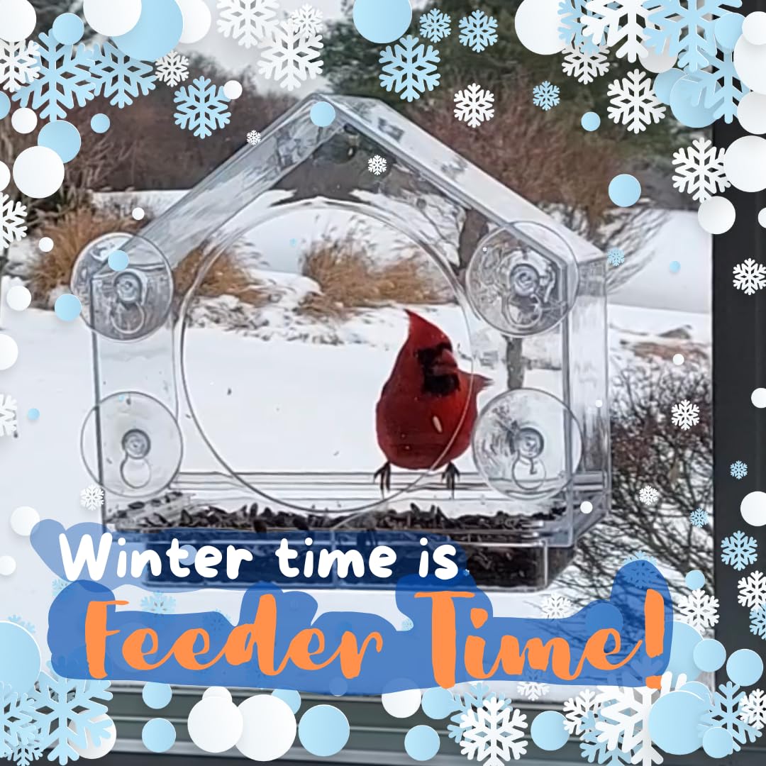 Window Bird Feeder by Nature Anywhere - Transparent Acrylic Bird Feeders for Outdoors - Enhanced Suction Grip, Bird Watching for Cats, Easy-to-Clean, Outdoor Birdhouse Feeder Nature Anywhere