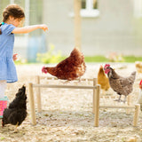 Vehomy Chicken Perch Chicken Roosting Ladder for Chicken Coop Chicken Roosting Bar Chicken Jungle Gym Chicken Toys for Hen Poultry Vehomy