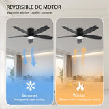 Ayaoty Ceiling Fans with Lights, 52" Low Profile Indoor Ceiling Fan with Light and Remote Control, Dimmable, Noiseless, Reversible, Black Ceiling Fan for Bedroom, Indoor/Outdoor Use Ayaoty