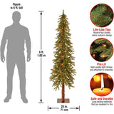 National Tree CED7-60LO-S Tree, 6 ft, Green National Tree Company