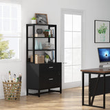 Tribesigns Modern 2 Drawer Vertical File Cabinet with Lock and Open Bookshelf Storage, Black Tribesigns