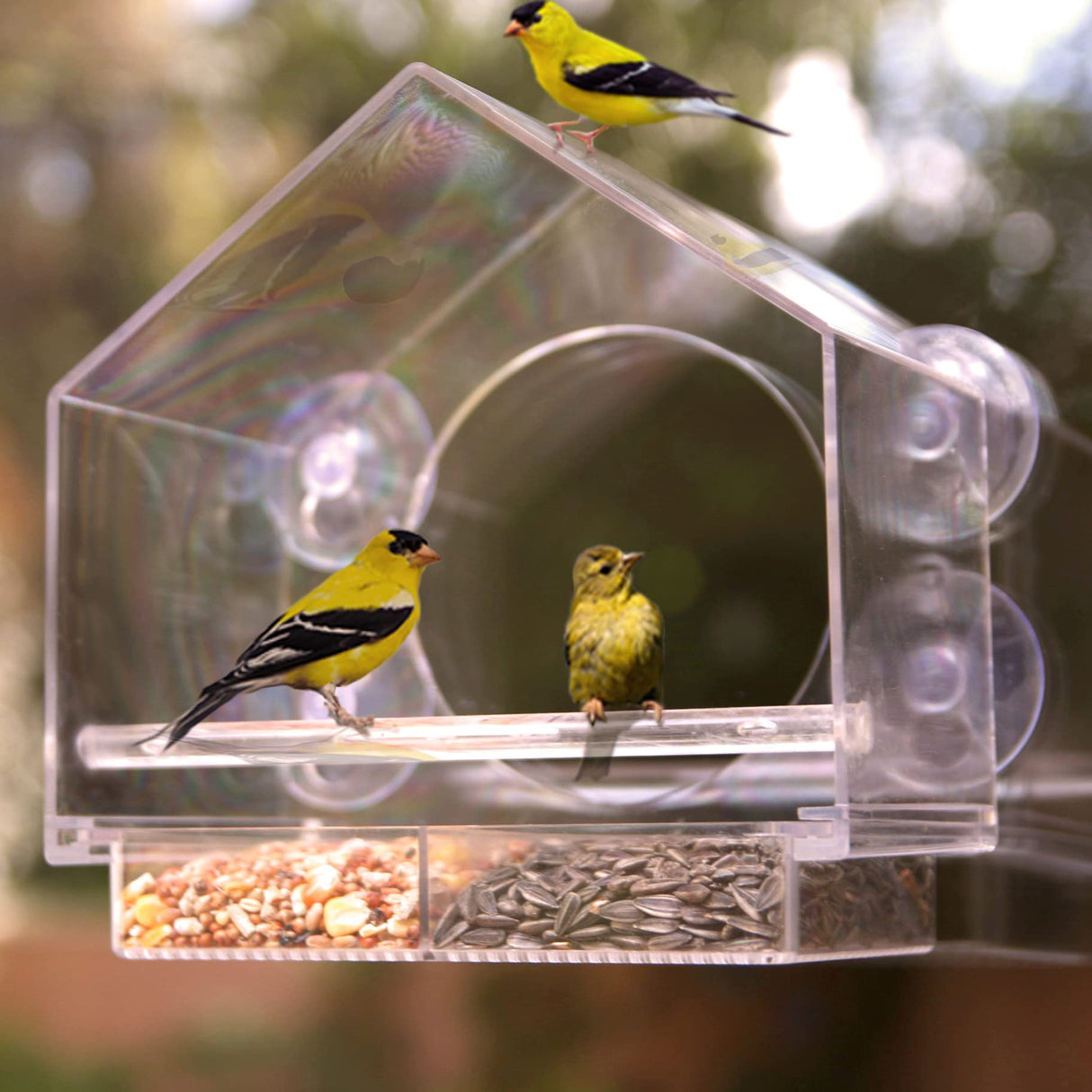 Window Bird Feeder by Nature Anywhere - Transparent Acrylic Bird Feeders for Outdoors - Enhanced Suction Grip, Bird Watching for Cats, Easy-to-Clean, Outdoor Birdhouse Feeder Nature Anywhere