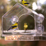 Window Bird Feeder by Nature Anywhere - Transparent Acrylic Bird Feeders for Outdoors - Enhanced Suction Grip, Bird Watching for Cats, Easy-to-Clean, Outdoor Birdhouse Feeder Nature Anywhere