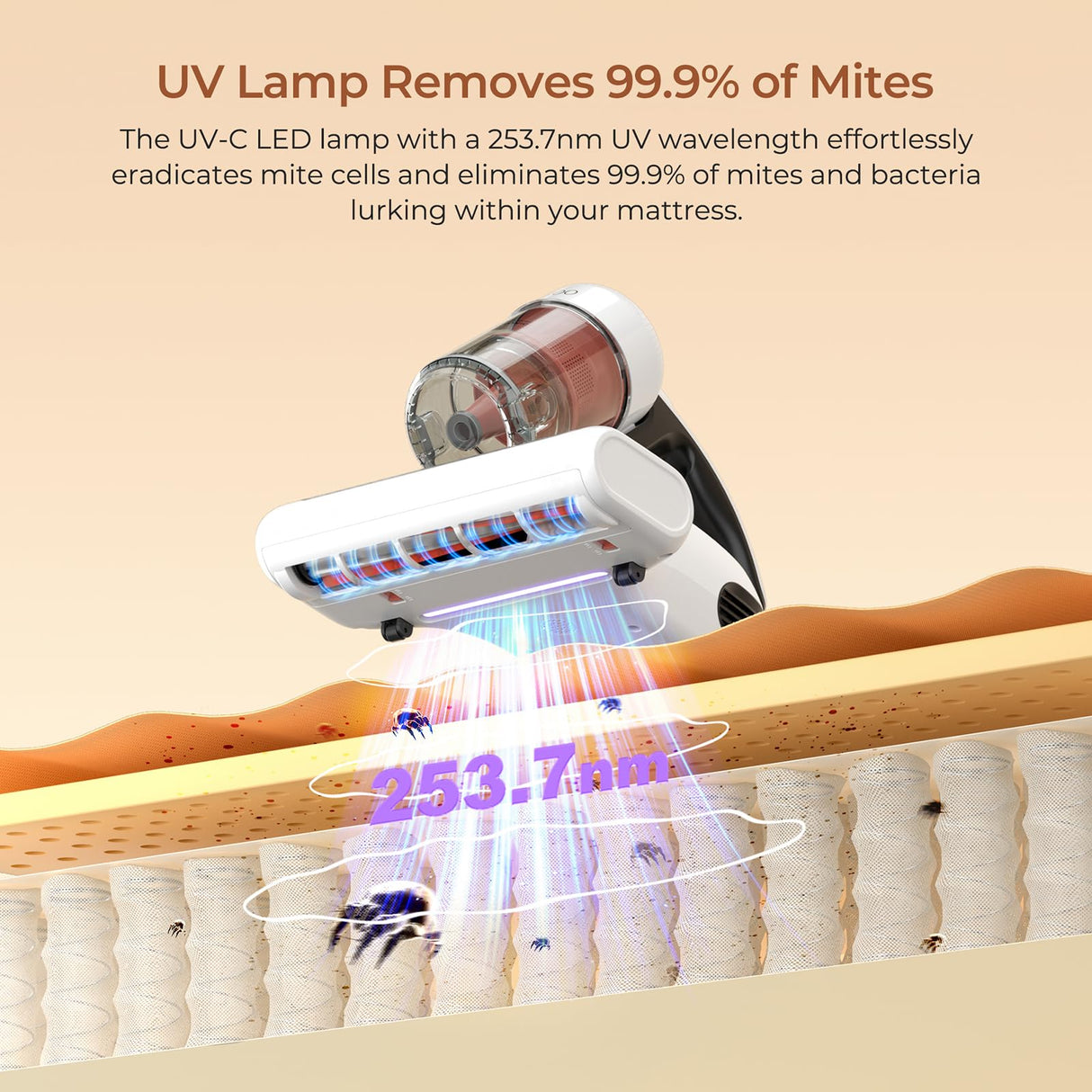 JIGOO Mattress Vacuum Cleaner : UV Bed Vacuum Cleaner 500W 13Kpa Strong Suction, High Heating Tech, Deep Cleaning Bed Vacuum for Sofa/Bed/Fabric Surface(Corded,120V) JIGOO