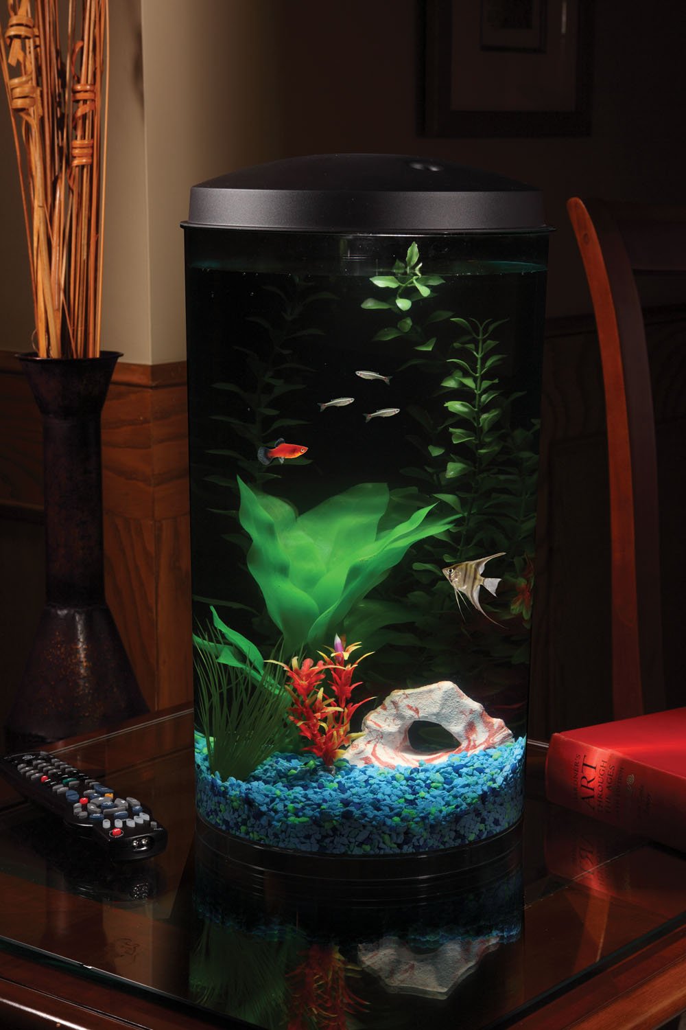 Koller Products Plastic 6-Gallon AquaView 360 Aquarium Kit for Tropical Fish, Betta Fish with LED Lighting and Power Filter Clear, 4-Piece Set Koller Products