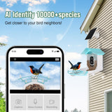 Bird Feeder with Camera,AI Identify Birds Species,Solar Powered,Auto Record Videos in Backyard,Instant Notifications,Ideal Gift for Family and Bird Lovers ANMESC