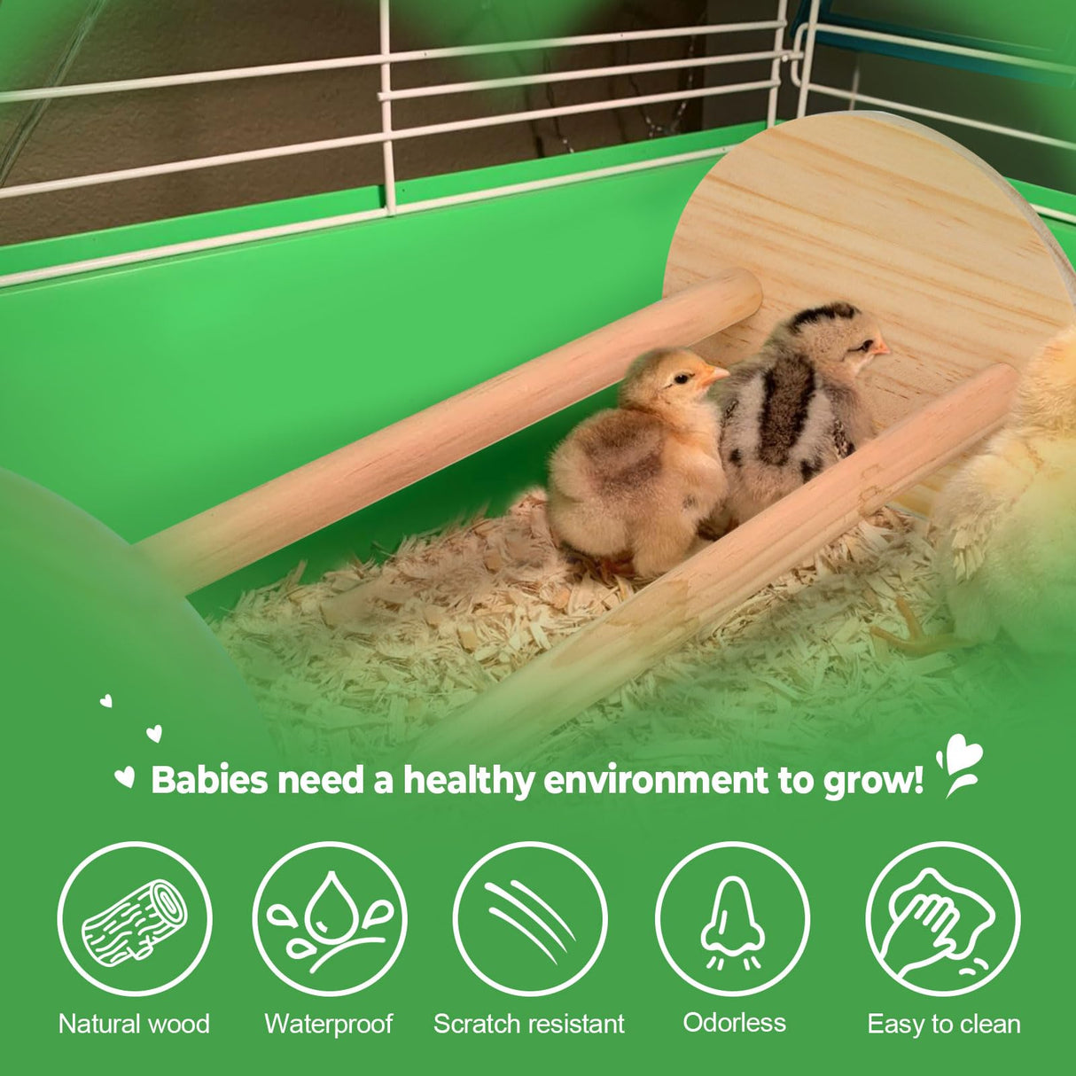 CuffUp Chicken Perch Chicken Toys for Coop Durable Chick Jungle Gym Strong Wood Roosting Bar Chicken Swing for Chicken Supplies for Chicken Coop Accessories and Brooder for Baby Chicks (2 Pack) CuffUp