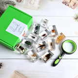 12 Pcs Insect Resin Specimen, Real Bugs Kit for Kids Science Toy Biology Education Insect Collection Resin Specimen Gift Home Decoration TINGLAN