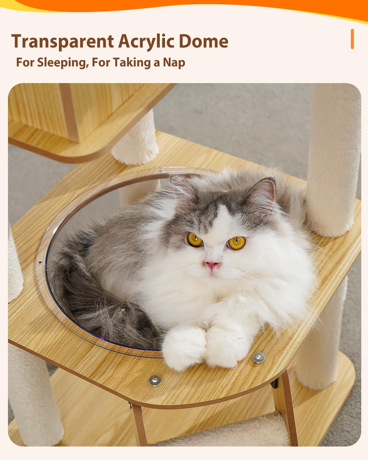 Yueyuesmart Modern Cat Tree with Acrylic Dome, 56 Inches Wooden Cat Tree No Carpet, Multi-Level Wood Cat Tower with Large Cat Condo, Round Top Perch, Scratching Post yuyuesmart
