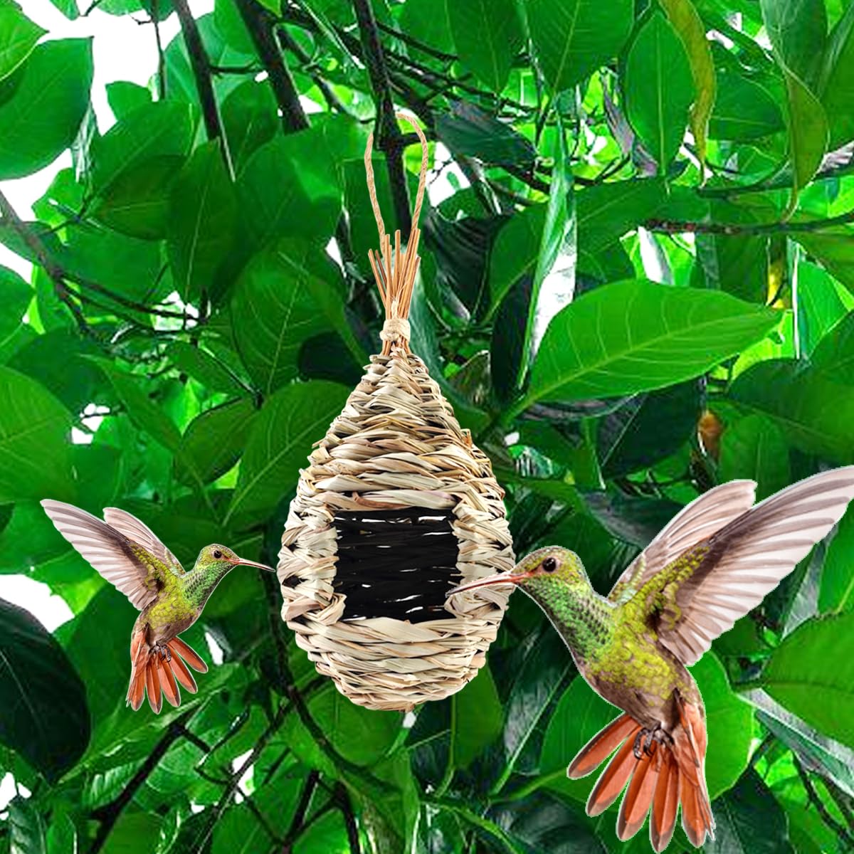 TIHOOD 4PCS 9.2 x 4 Inches Hand Woven Hummingbird House,Bird Hut and Hummingbird Houses Nest, Small Hanging Bird & Chickadee House for Finch & Canary in Outdoor TIHOOD