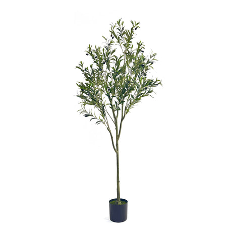 Christopher Knight Home 313747 Artificial Olive Tree, 6' x 2', Green Christopher Knight Home