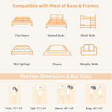 Qabefy Queen Mattress, 10 Inch Memory Foam Hybrid Mattress in a Box, Medium Firm and Individually Pocket Springs - Pressure Relief, CertiPUR-US Certified, Motion Isolation Qabefy